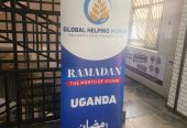 Pull-up / Roll-up banners