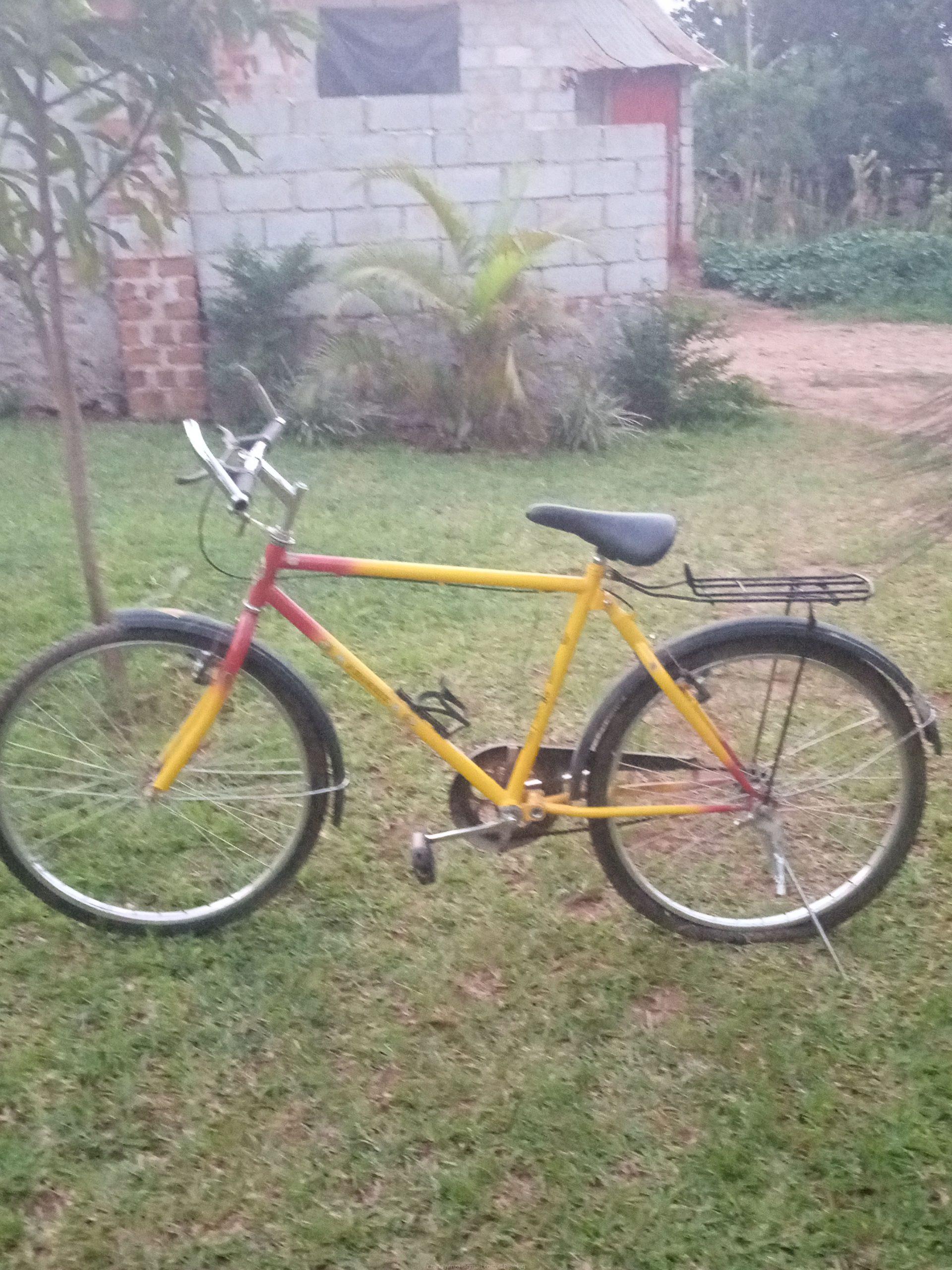 Bicycle