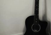 Acoustic guitar