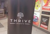 Designing,Printing and Branding