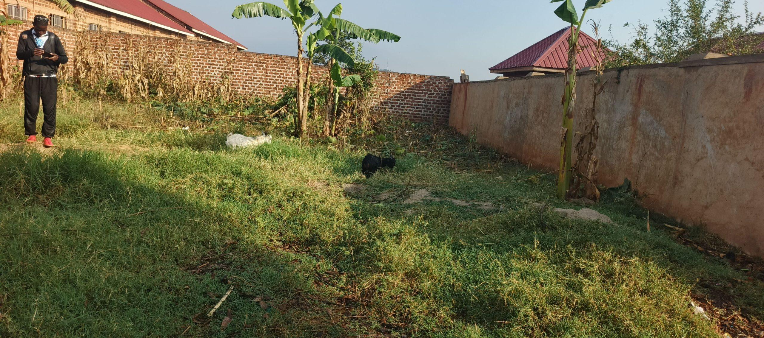 Plot for sale 75×60 ft in bukerere