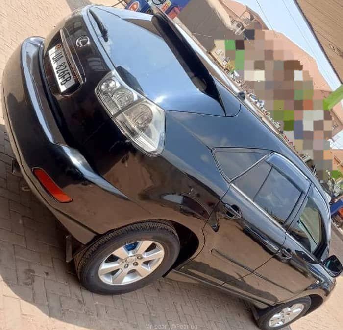 Harrier kawundo