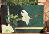 Hibiscus collectable 1