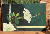Hibiscus collectable 1
