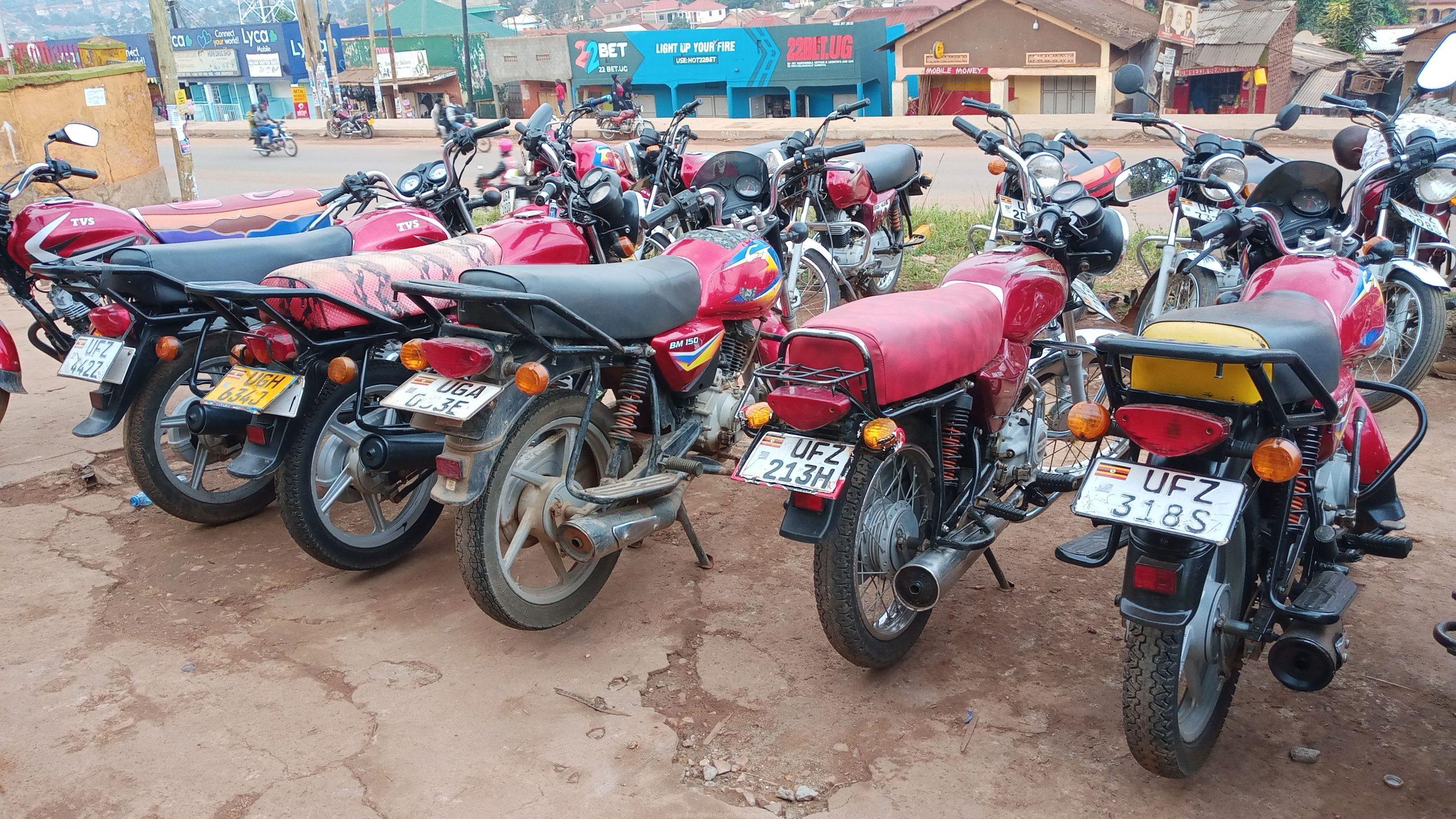 Bikes for sale 3m
