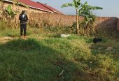 Plot for sale 75×60 ft in bukerere