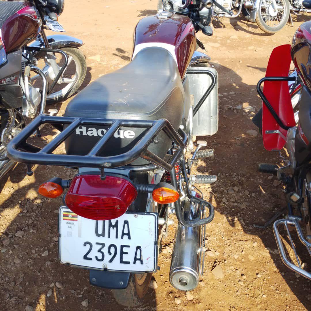 Bikes for sale