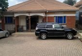 Sandton city guest house in Bunamwaya Central for rent per day