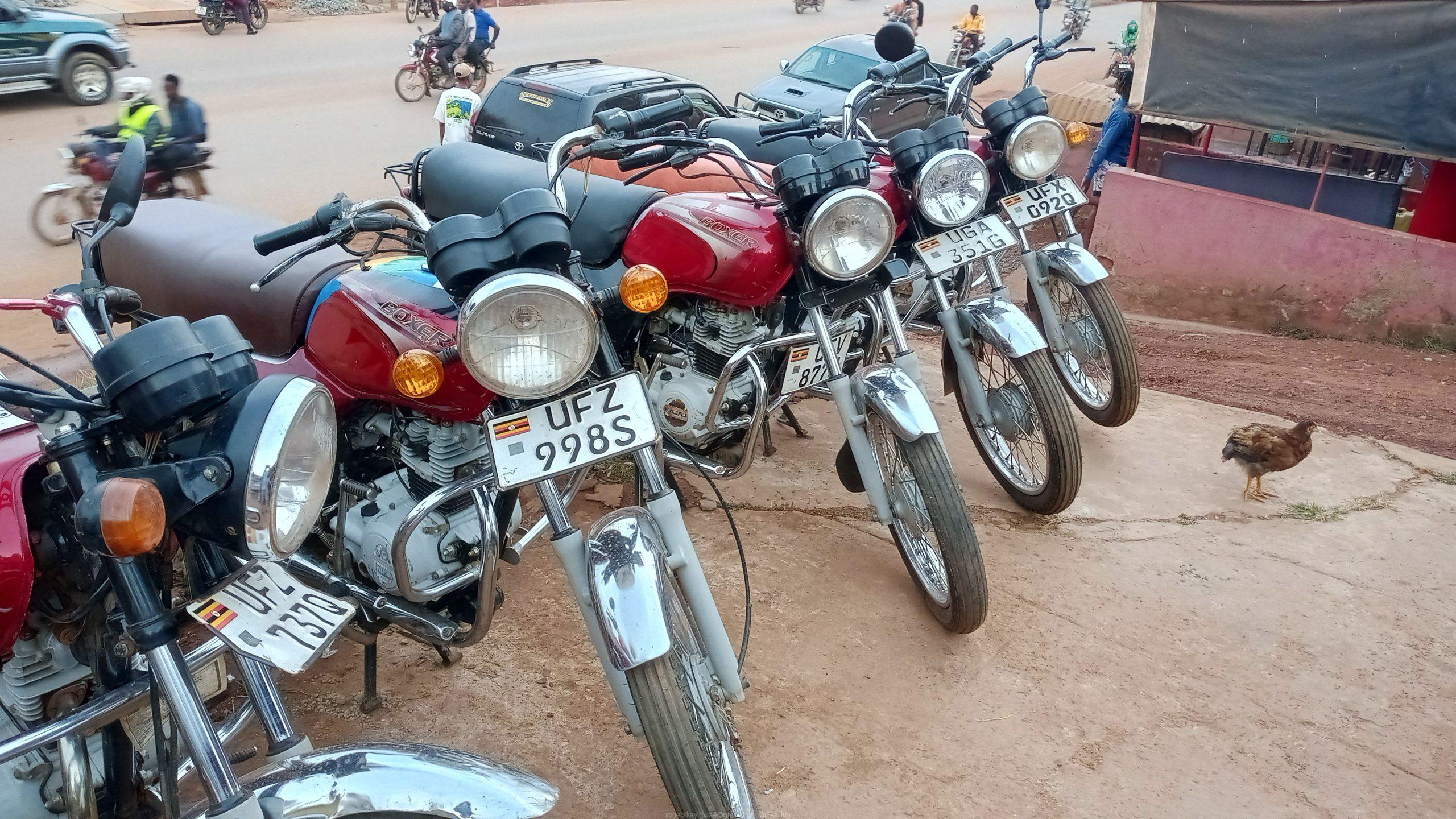 Bikes for sale 3m