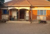Sandton city guest house in Bunamwaya for rent