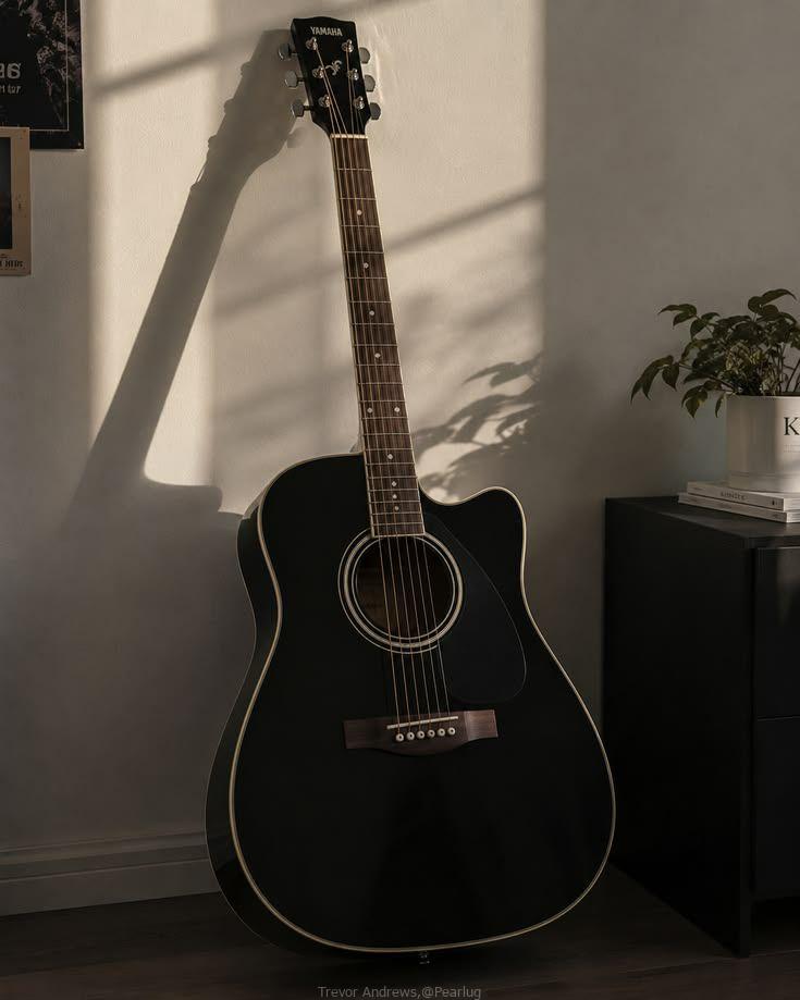 Acoustic guitar