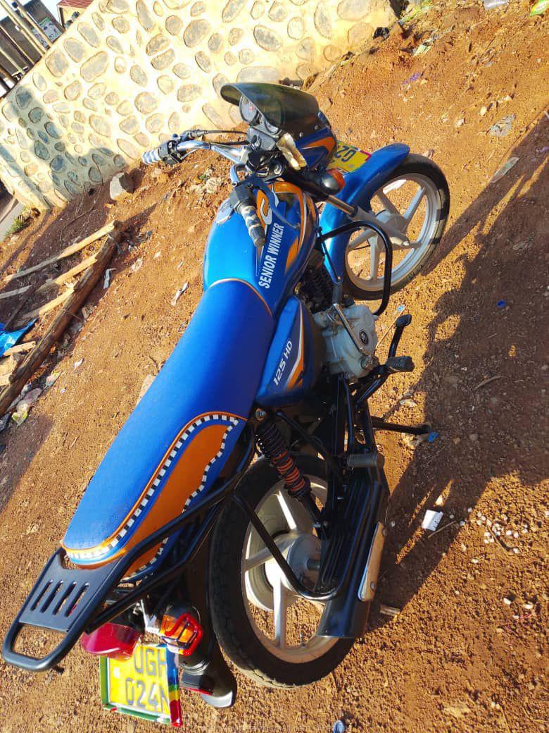 Bike for sale 2.5m