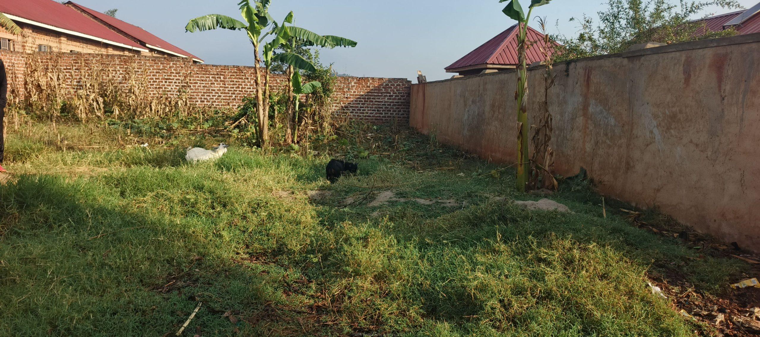 Plot for sale 75×60 ft in bukerere
