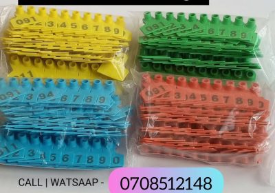 4c4b8298-ef51-4ccd-a27b-5c59b0b66551