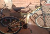 Bicycle