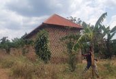 A plot (100x45ft ) plus a house for 14 million only