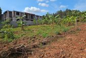 Plots for sale long hoima road sentema road bombo road mityana road