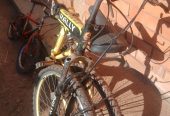 Bicycle