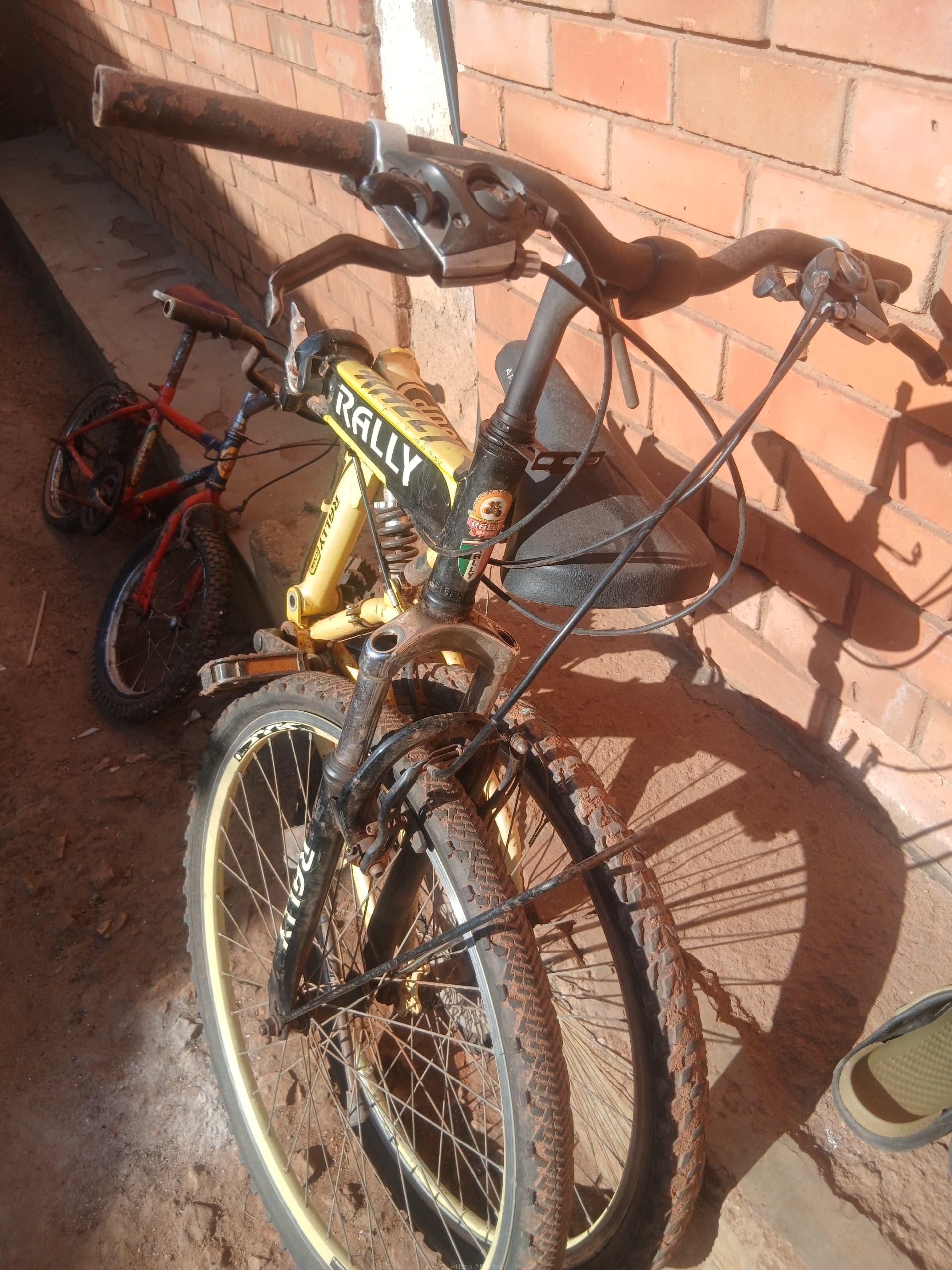 Bicycle