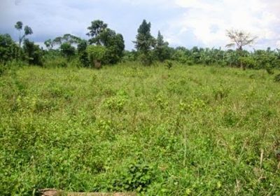 Land