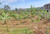 Plots for sale long hoima road sentema road bombo road mityana road