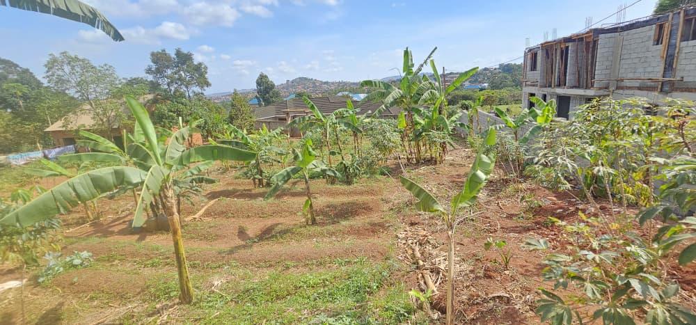 Plots for sale long hoima road sentema road bombo road mityana road