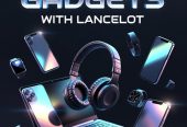 Lancelot electric and house cleaning company