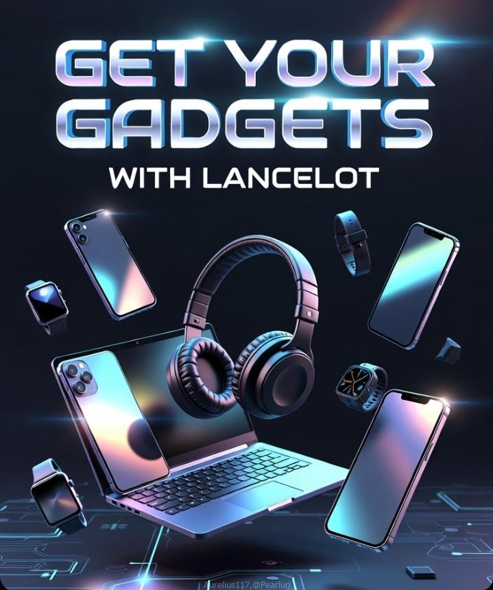Lancelot electric and house cleaning company
