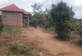 A plot (100x45ft ) plus a house for 14 million only