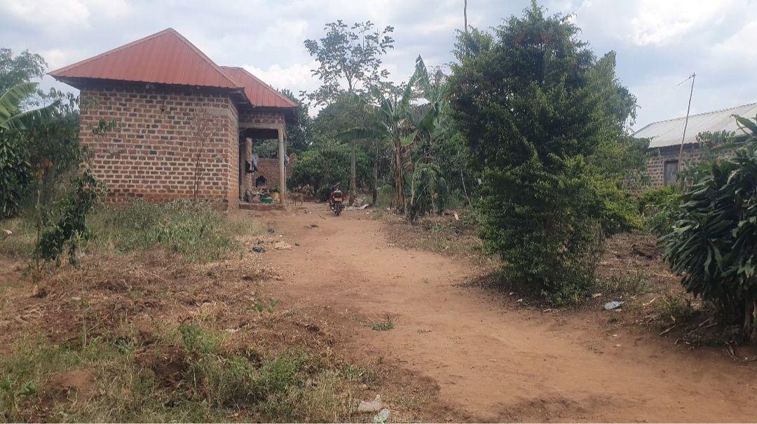 A plot (100x45ft ) plus a house for 14 million only