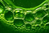 Multi-purpose Liquid Soap