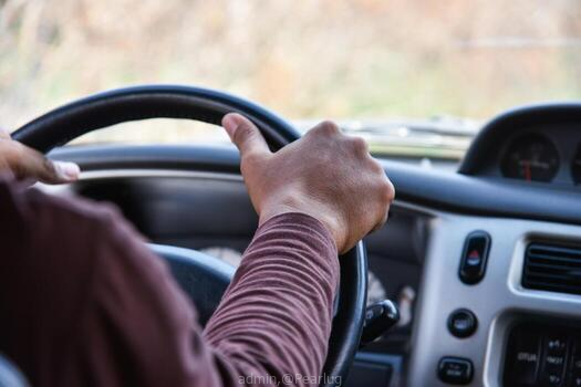 Personal driver/ private service
