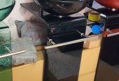 glass hand wash basin