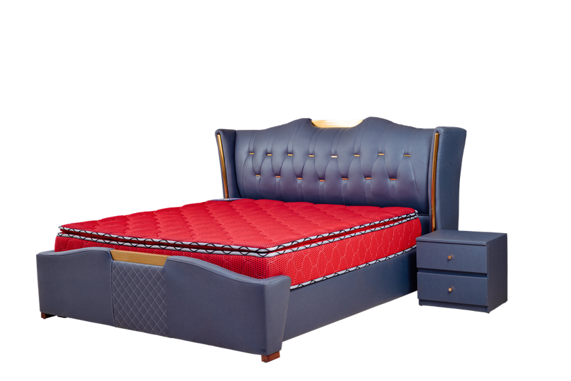 ROSEFOAM MODERN BEDS