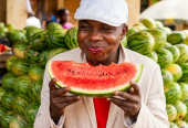 Fresh watermelon