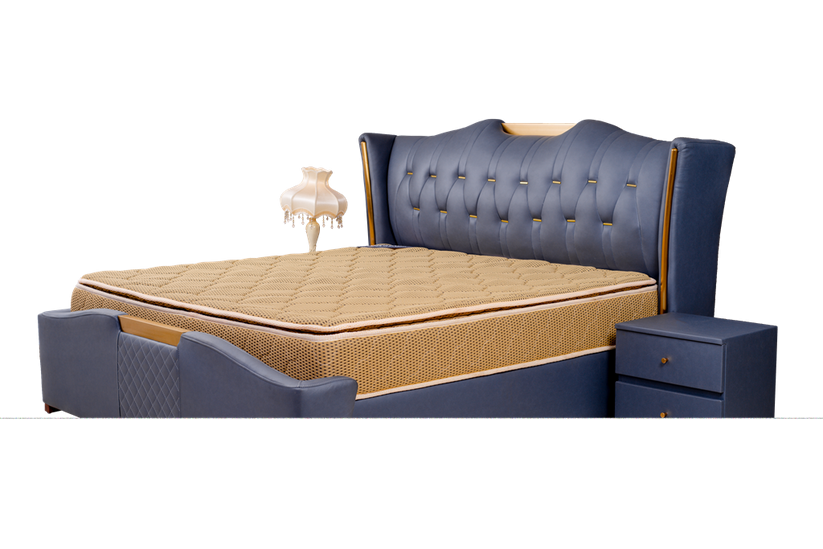 ROSEFOAM MODERN BEDS