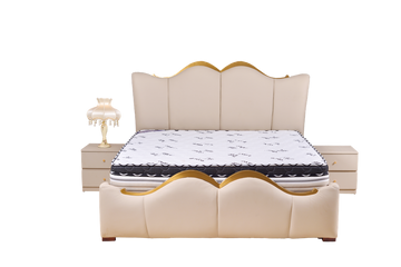ROSEFOAM MODERN BEDS