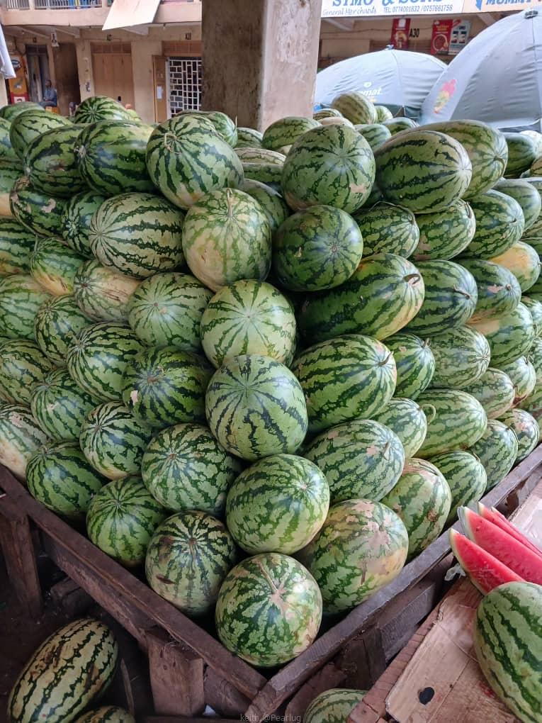 Fresh watermelon