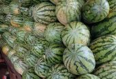 Fresh watermelon