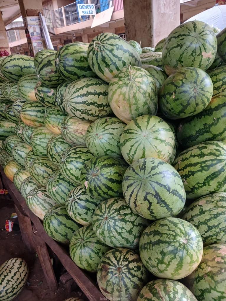 Fresh watermelon